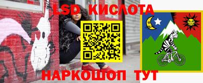 дурь Гай