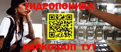 дурь Гай