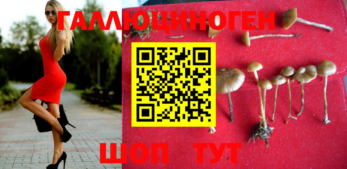 Галлюциногенные грибы Cubensis Нижневартовск