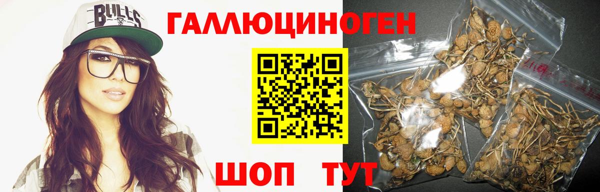 Псилоцибиновые грибы Psilocybine cubensis  где найти наркотики  Нижневартовск  Вход с VPN 